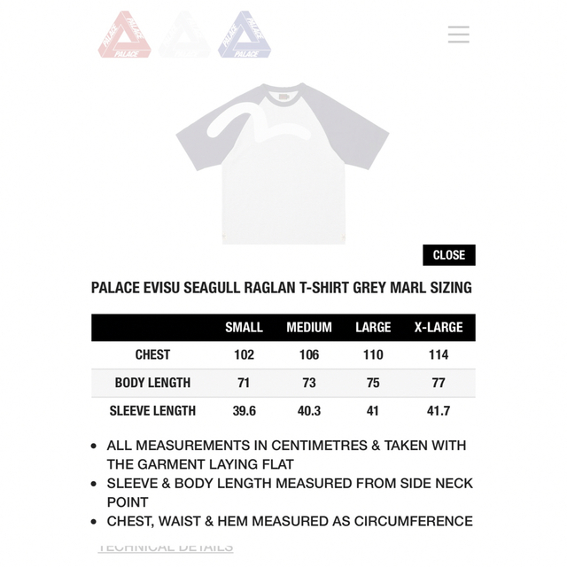 PALACE✖️EVISU SEAGULL RAGLAN T-SHIRT