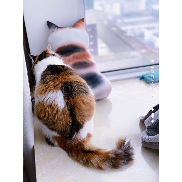 Homehalo 猫抱き枕 柔らかく低反発クッション カバー洗える 添い寝枕 癒 インテリア/住まい/日用品の寝具(枕)の商品写真