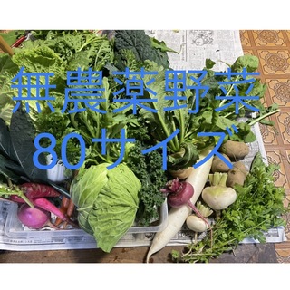 無農薬野菜詰め合わせ　(80サイズ)(野菜)