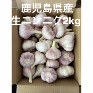 生ニンニク2kg  鹿児島県産(野菜)