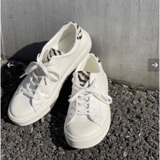 オールスター(ALL STAR（CONVERSE）)の専用コンバース CONVERSE オールスター クップ ポイントアニマル OX (スニーカー)