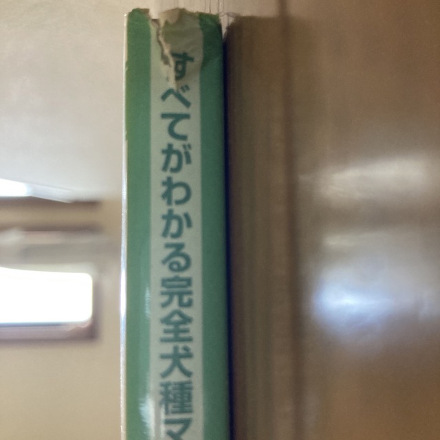 楽しい柴犬ライフ この１冊があれば、柴犬と暮らす毎日が幸せ＆快適にな エンタメ/ホビーの本(住まい/暮らし/子育て)の商品写真