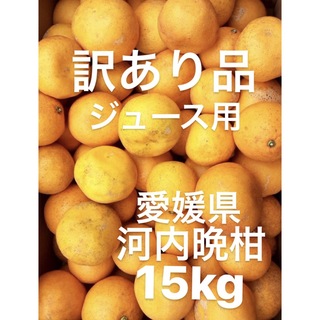 訳あり品　愛媛県産　河内晩柑　宇和ゴールド　柑橘　ジュース用　15kg(フルーツ)