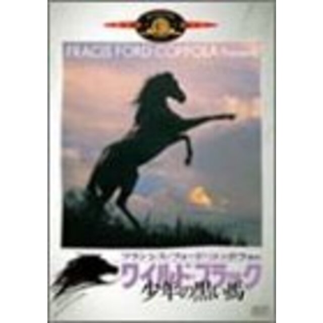 ワイルド・ブラック/少年の黒い馬 [DVD]
