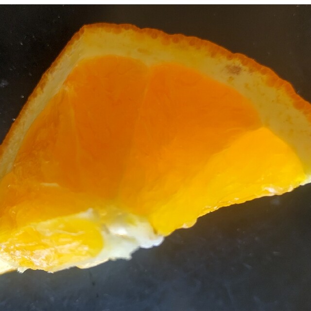 和歌山産柑橘類詰め合わせ 食品/飲料/酒の食品(フルーツ)の商品写真