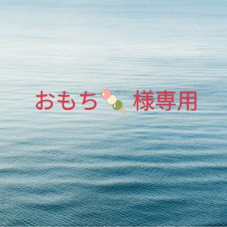 ザセム(the saem)のおもち🍡 様専用(コンシーラー)