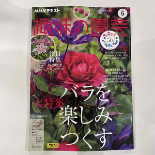 NHK 趣味の園芸 2023年 05月号(その他)