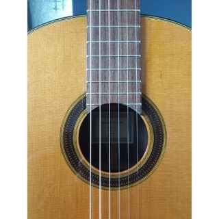クラシックギター 640mm　タカミネ　Takamine 310-4