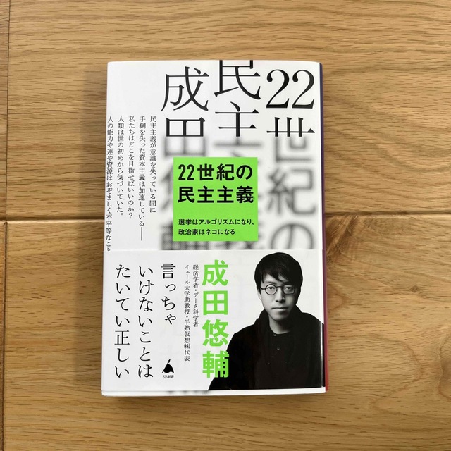 ２２世紀の民主主義 エンタメ/ホビーの本(その他)の商品写真