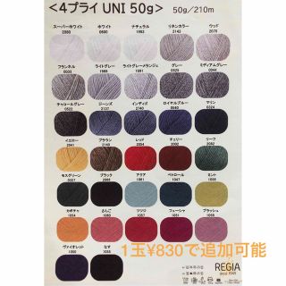 【SALE】REGIA 4-ply キャンディーカラー6玉セット　限定SALE