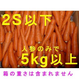 徳島産　ミニサイズ（2S以下）人参「彩誉」5kg以上　ハウス栽培　ジュース用(野菜)