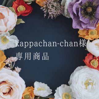 kappachan-chan様専用商品(ネックレス)