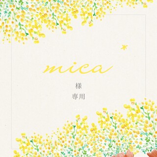 mica*様専用☆多肉植物(その他)