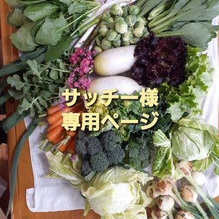 サッチー様専用ページです(野菜)