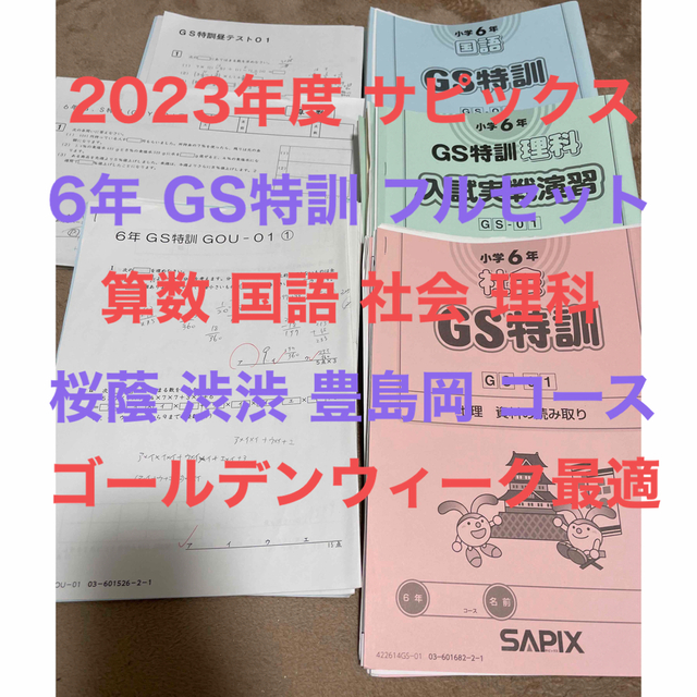 サピックス　GS特訓　桜蔭・渋渋・豊島岡　 SAPIX 2023年度 最新版