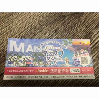 大阪まいしまシーサイドパーク ネモフィラ祭り無料招待券(その他)