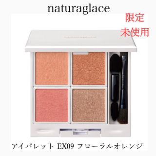 ナチュラグラッセ(naturaglace)の【限定】naturaglace ナチュラグラッセ アイパレット EX09(アイシャドウ)