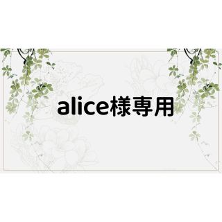 alice様専用ページ(テープ/マスキングテープ)