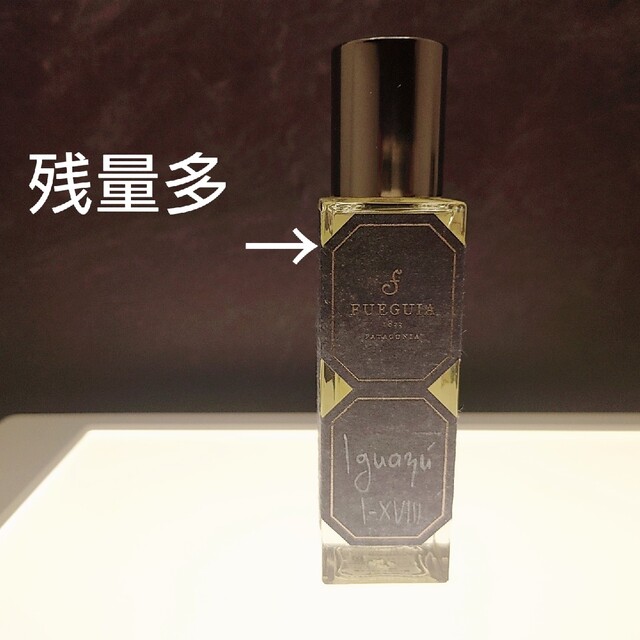 レア】廃盤⭐「イグアス」フエギア30ml 残量多-