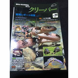 爬虫・両生類情報誌クリーパー no.90(趣味/スポーツ/実用)