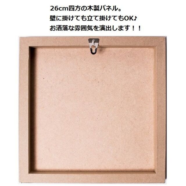 アインシュタイン ② / 大人気ポップアートパネル / 壁掛けインテリア エンタメ/ホビーの美術品/アンティーク(絵画/タペストリー)の商品写真