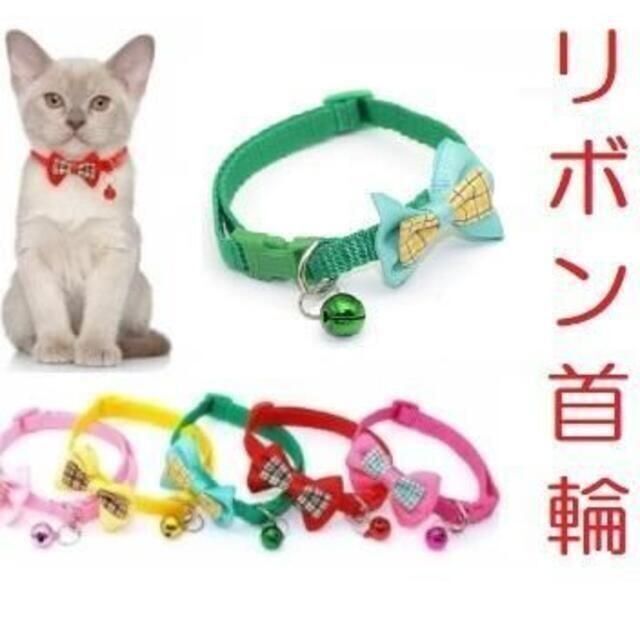 猫ちゃんリボン首輪（緑）　猫じゃらし／ねこじゃらし その他のペット用品(猫)の商品写真