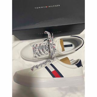 トミーヒルフィガー(TOMMY HILFIGER)のTOMMY HILFIGER 新品　8M スニーカー　トミーヒルフィガー(スニーカー)