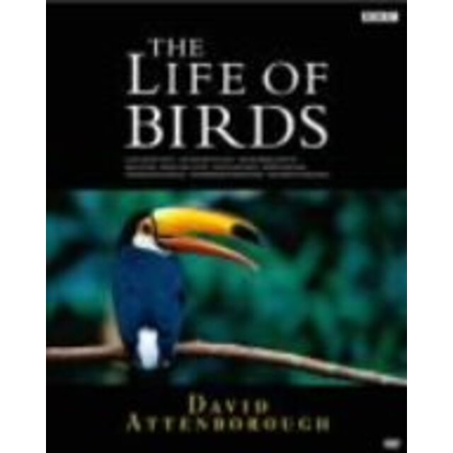 BBC ライフ・オブ・バーズ/鳥の世界 DVD-BOX