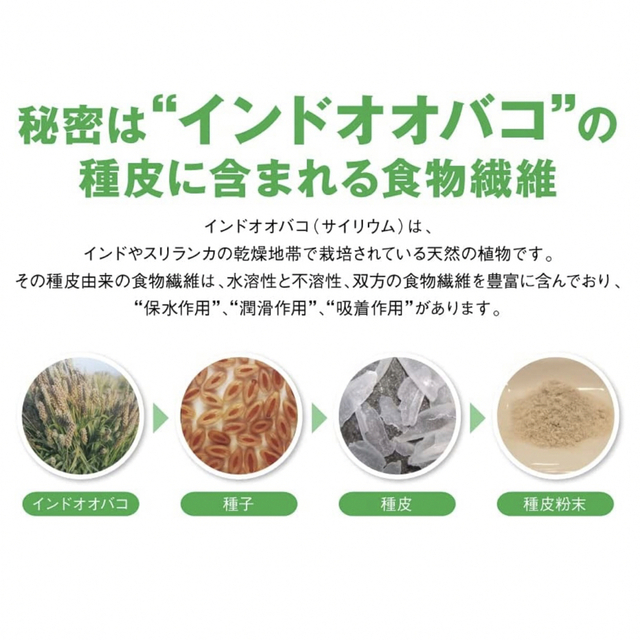 日清食品(ニッシンショクヒン)の【正規品】日清食品 トリプルバリア 青りんご味 コスメ/美容のダイエット(ダイエット食品)の商品写真