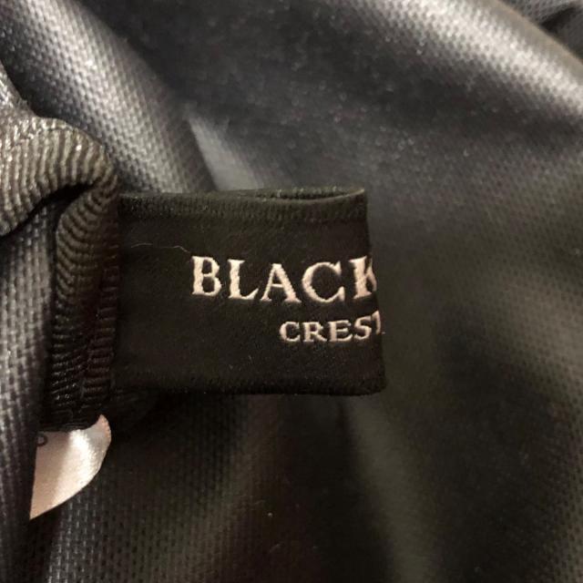 BLACK LABEL CRESTBRIDGE(ブラックレーベルクレストブリッジ)のブラックレーベルクレストブリッジ美品  - レディースのバッグ(リュック/バックパック)の商品写真