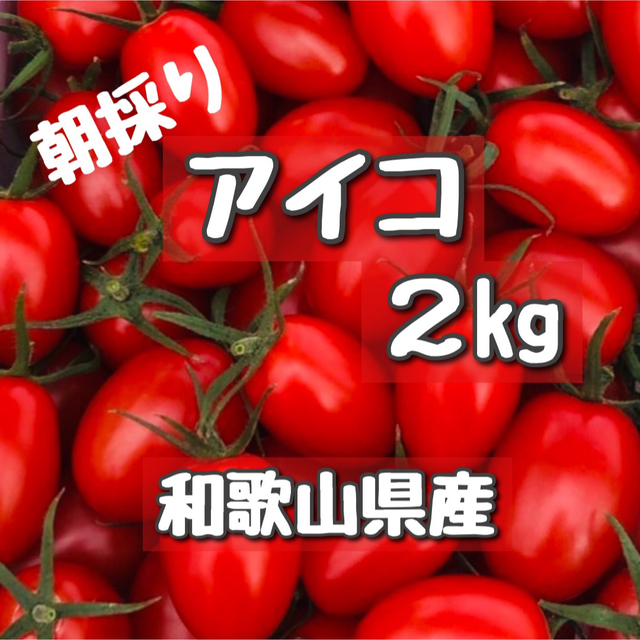 和歌山県産ミニトマトアイコ2キロ 食品/飲料/酒の食品(野菜)の商品写真