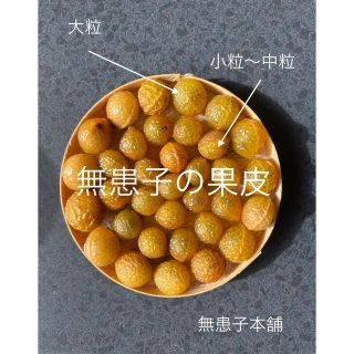 無患子本舗　エコ洗剤ムクロジの果皮(洗剤/柔軟剤)