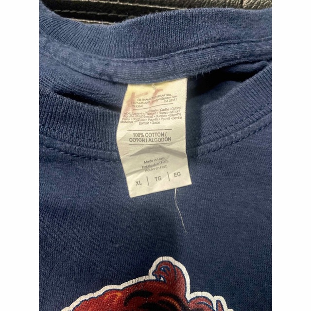 激レア当時物 INCREDIBLE Tシャツ ヴィンテージ サイズXL 激レア当時物 INCREDIBLE Tシャツ ヴィンテージ サイズXL