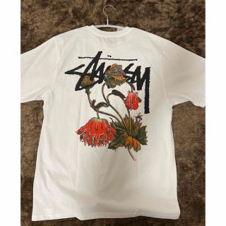 ステューシー(STUSSY)のstussy Mサイズ 即完売品(Tシャツ/カットソー(半袖/袖なし))