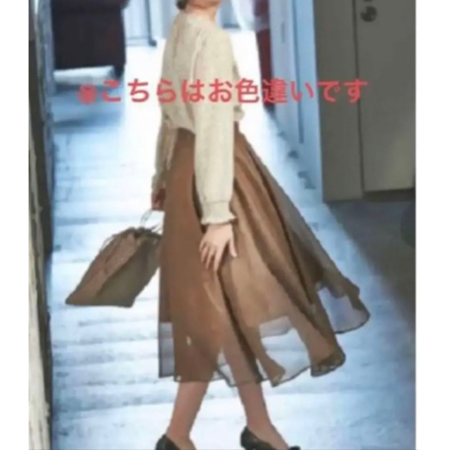 Techichi(テチチ)の未使用タグ付き☆ Te chichi シアーロングフレアスカート　Mサイズ レディースのスカート(ロングスカート)の商品写真