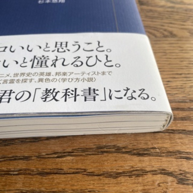 飛ぶチカラ 自由のためのインプット／アウトプット入門 エンタメ/ホビーの本(ビジネス/経済)の商品写真