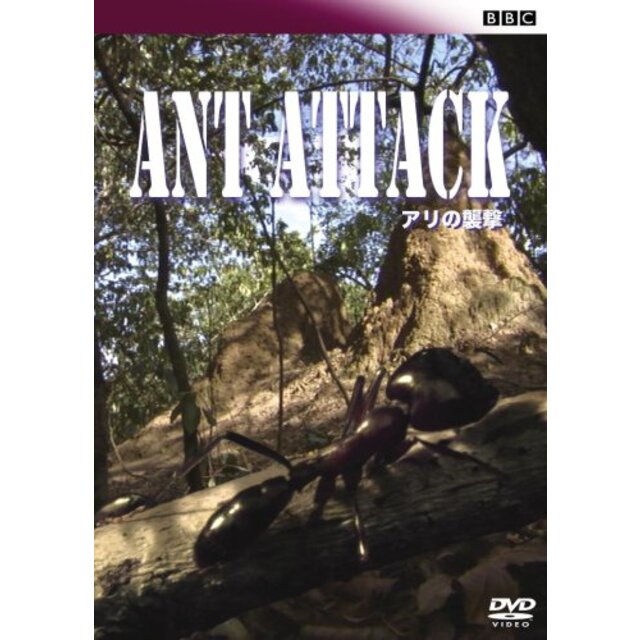 BBC アリの襲撃 [DVD] 6g7v4d0