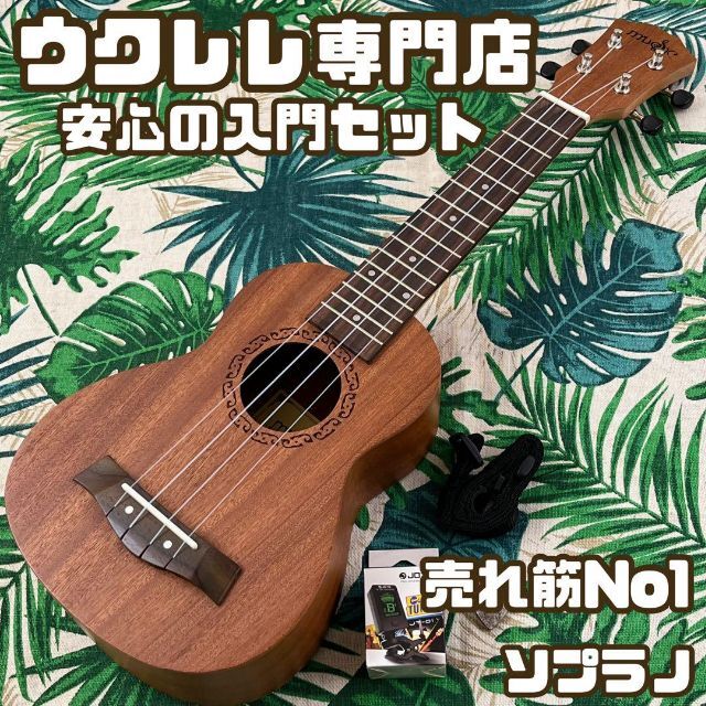 【Aiersi】ドルフィンホールのエレキ・ソプラノウクレレ【ukulele】