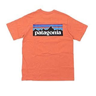 パタゴニア(patagonia)のpatagonia P-6 Logo Responsibili-T-shirts(Tシャツ/カットソー(半袖/袖なし))