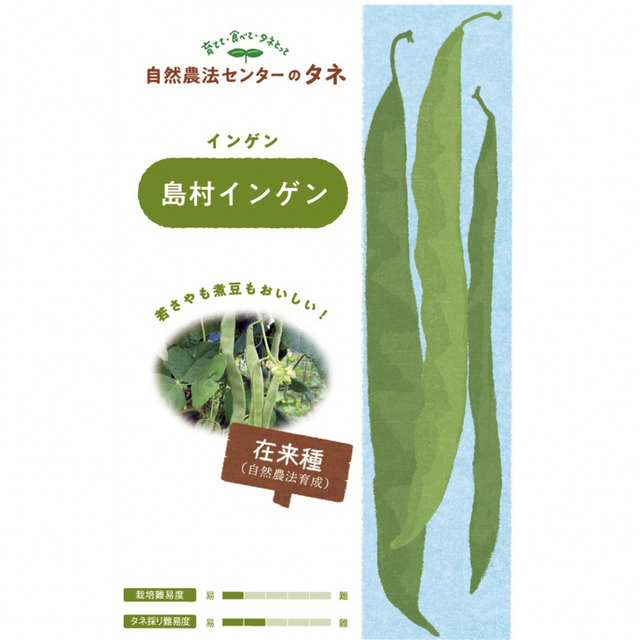 【国内育成・採取】 島村インゲン 家庭菜園 種 タネ インゲン 野菜 食品/飲料/酒の食品(野菜)の商品写真