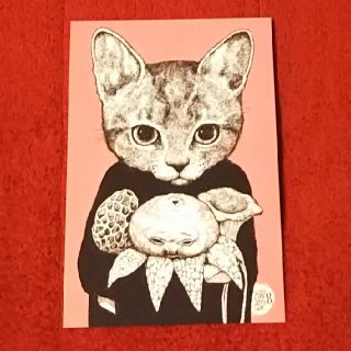 ヒグチユウコ(ヒグチユウコ)の・ヒグチユウコ ポストカード POSTCARD ANIMALS ツチグリ坊や (印刷物)