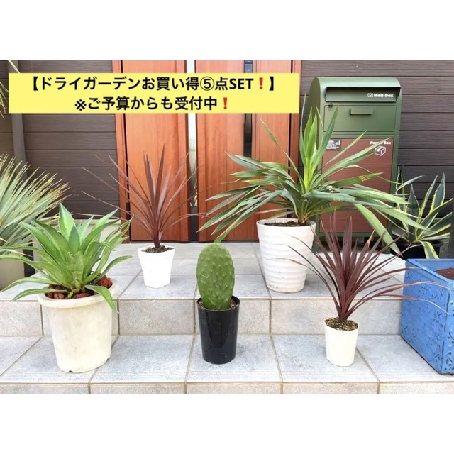 ドライガーデンお買い得⑤点SET❗️】 ※ご予算からも受付中
