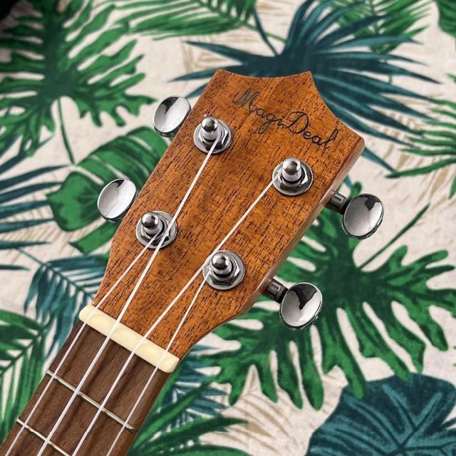camwood ukulele】チーク材のエレキ・ソプラノウクレレ【セット付