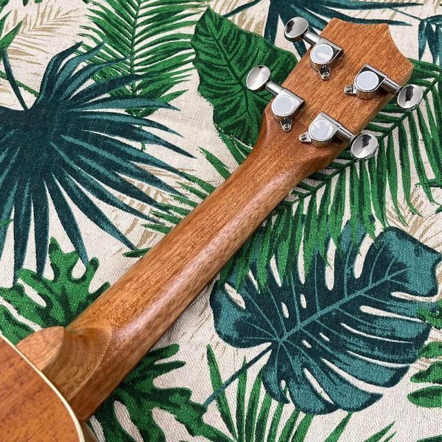 肉球が可愛いマホガニー材のエレキ・ソプラノウクレレ【ukulele】 ★大人気商品★ 12152円引き minyoukashi.com