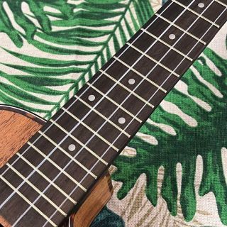 music ukulele】カッタウェイのエレキ・コンサートウクレレ【付属有