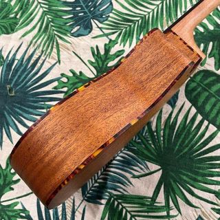 music ukulele】カッタウェイのエレキ・コンサートウクレレ【付属有
