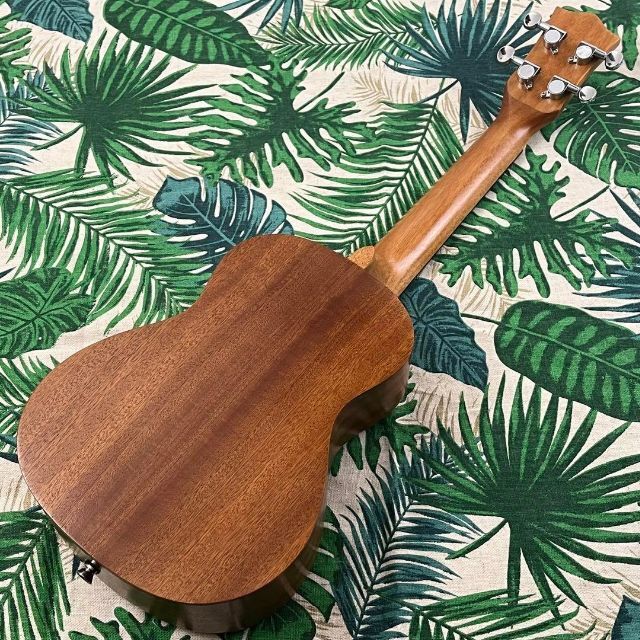 kmise ukulele】かたつむり模様のエレキ・コンサートウクレレ おしゃれ