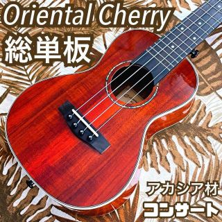oriental Cherry】アカシア単板のコンサートウクレレ【エレキ仕様