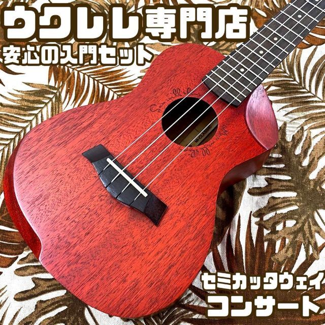 入門セット】Matildaセミカッタウェイのコンサートウクレレ【UK専門店