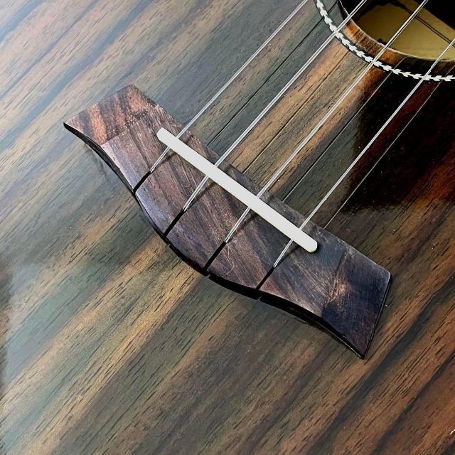 music】ローズウッド材のエレキ・コンサートウクレレ【ukulele